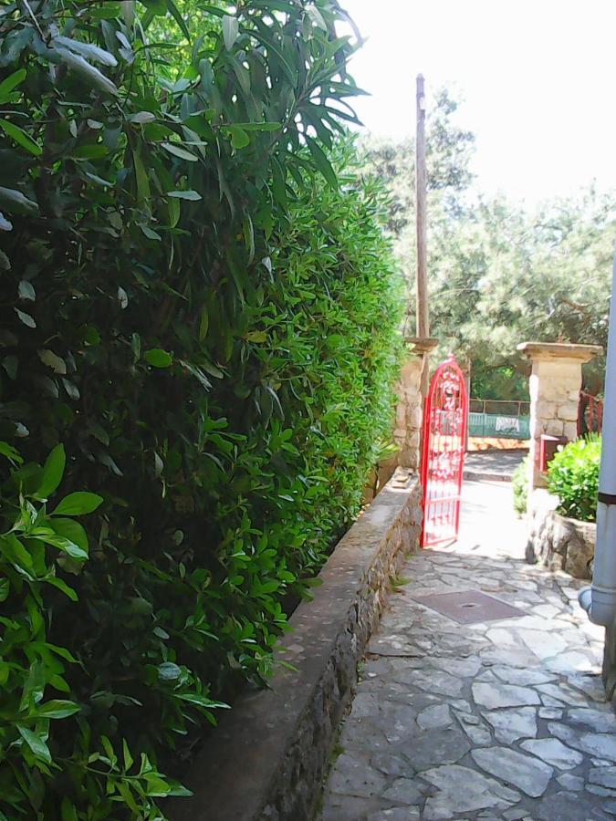 Villa Maja 奥米沙利 客房 照片